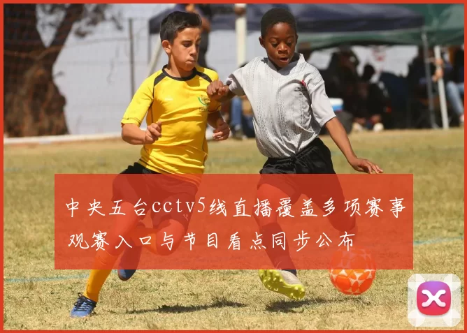 中央五台cctv5线直播覆盖多项赛事 观赛入口与节目看点同步公布