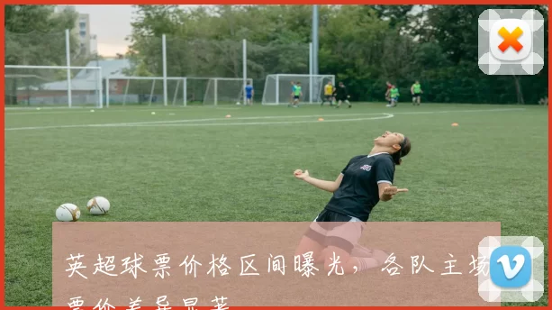 英超球票价格区间曝光，各队主场票价差异显著